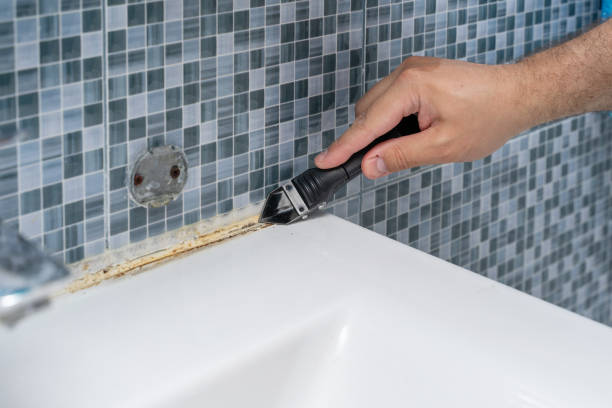 Best Localized Mold Remediation (e.g., coastal areas, humid climates) in Lewisville, TX