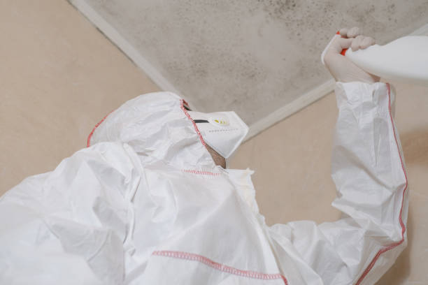 Professional Mold Remediation in Lewisville, TX