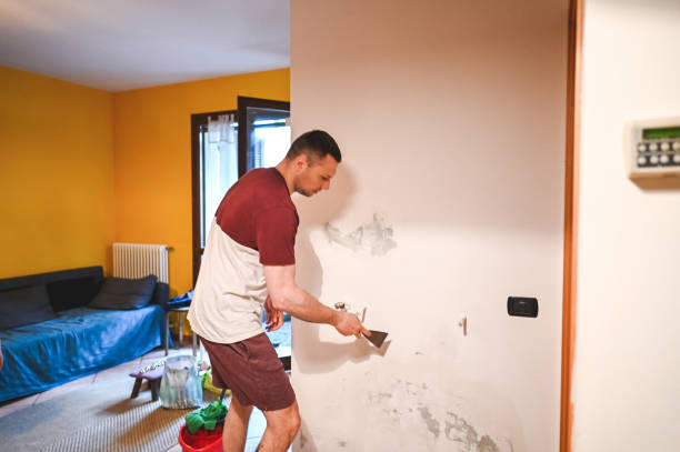  Lewisville, TX Mold Removal Pros